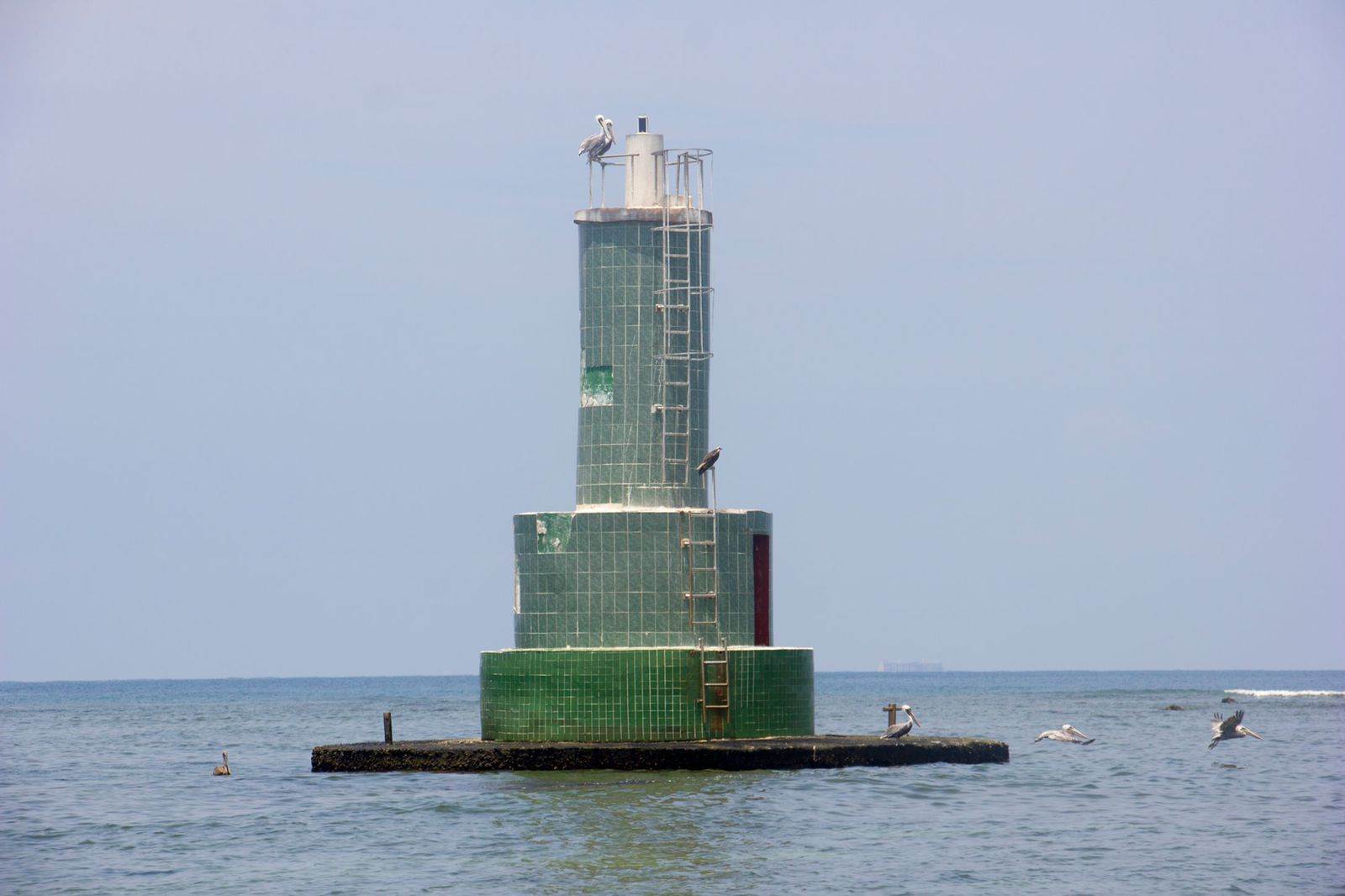 Programa de restauración ‘Anegada de adentro’, el más exitoso del Golfo de México