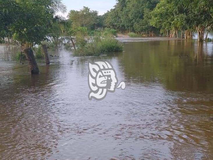 Se desbordó el río Chiquito a la altura de Yancuigapan