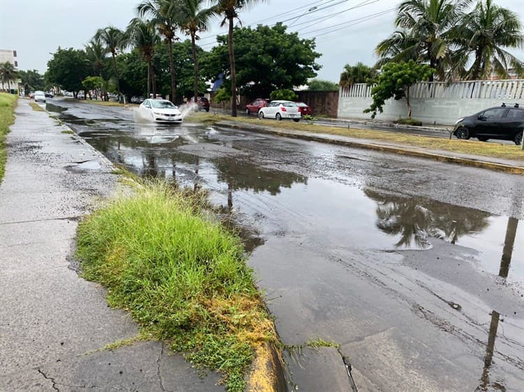 Video: Lluvias provocan encharcamientos en Veracruz y Boca del Río