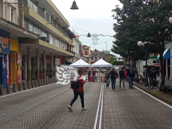 Cerrado, centro de Xalapa; filtros de seguridad para ceremonia del Grito (+Video)