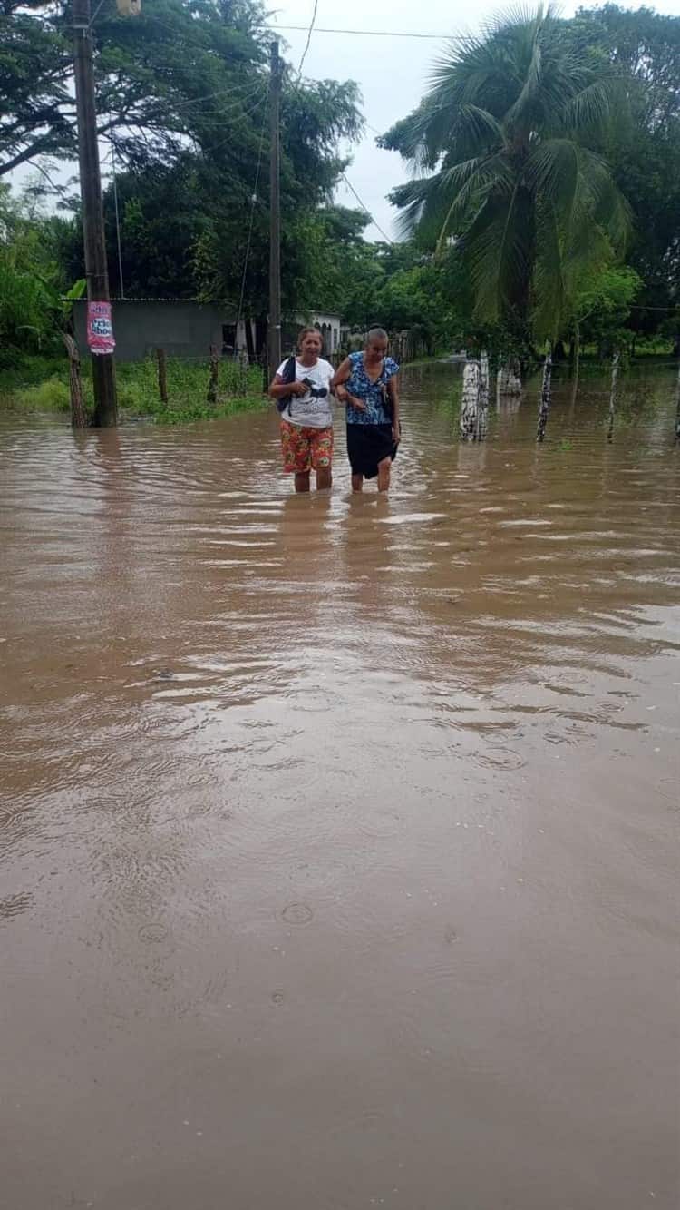 Habilitan 12 albergues en Medellín de Bravo ante crecida de rio Cotaxtla: alcalde