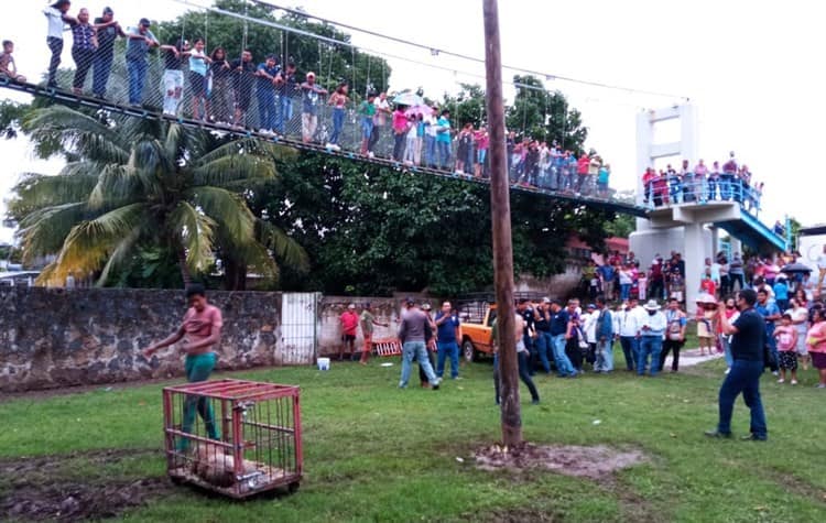 Con concurso de palo encebado así disfrutaron las fiestas patrias en Úrsulo Galván