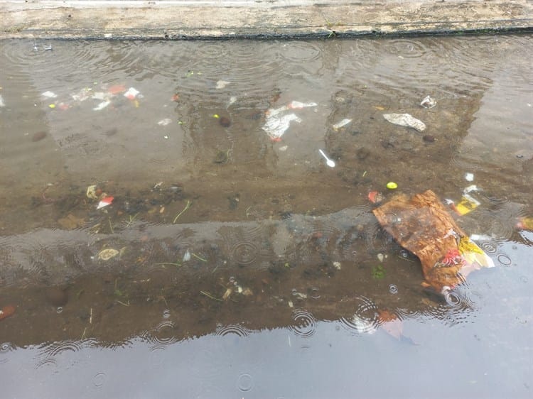 Vecinos de colonia en Boca del Río inundados por constante lluvia