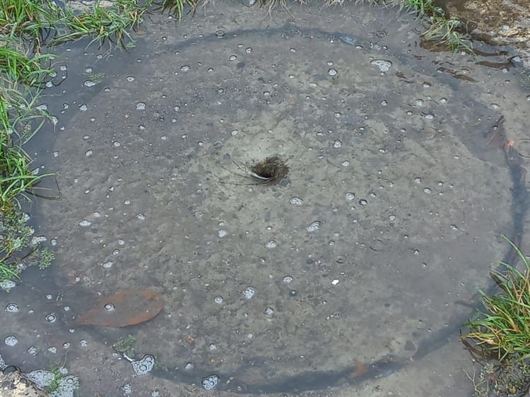 Vecinos de colonia en Boca del Río inundados por constante lluvia