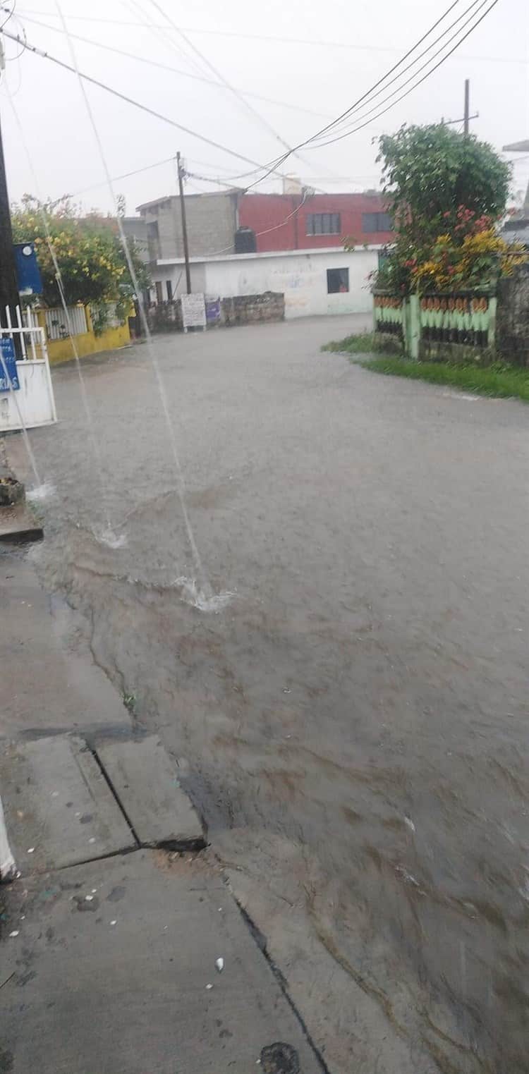 5 colonias de Alvarado con afectaciones por desbordamiento de río Papaloapan