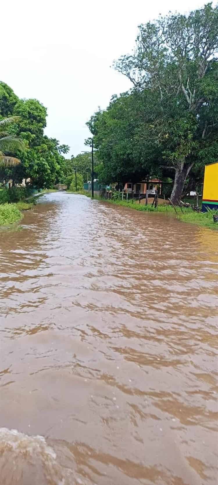 5 colonias de Alvarado con afectaciones por desbordamiento de río Papaloapan