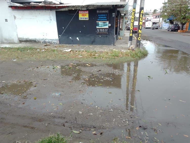 Colonia Bolívar II en Veracruz, entre hoyos y maleza