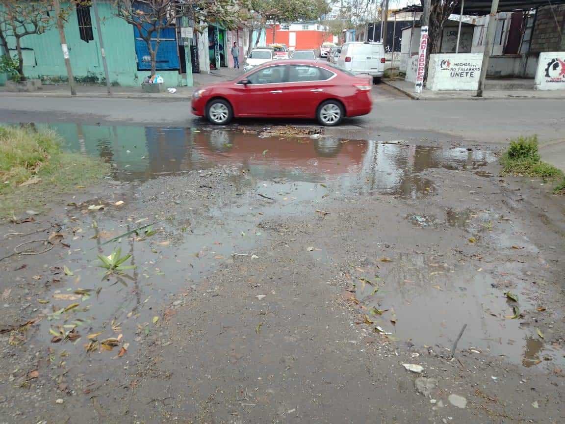 Colonia Bolívar II en Veracruz, entre hoyos y maleza