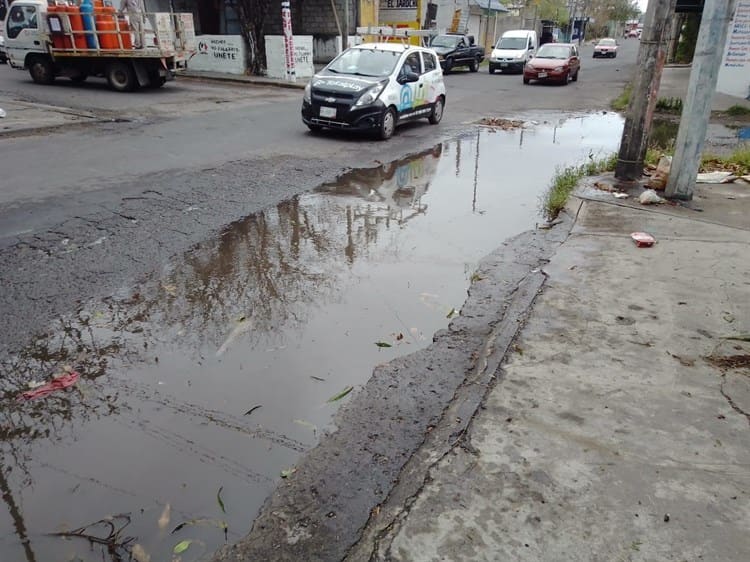 Colonia Bolívar II en Veracruz, entre hoyos y maleza