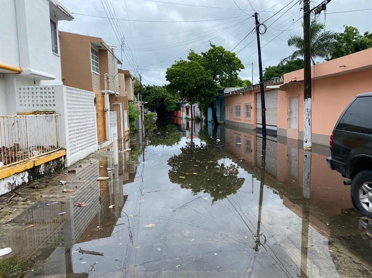 Entre aguas negras, vecinos de Vista Alegre piden ayuda por inundación (+Video)