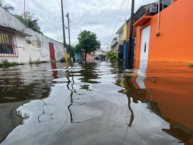 Entre aguas negras, vecinos de Vista Alegre piden ayuda por inundación (+Video)