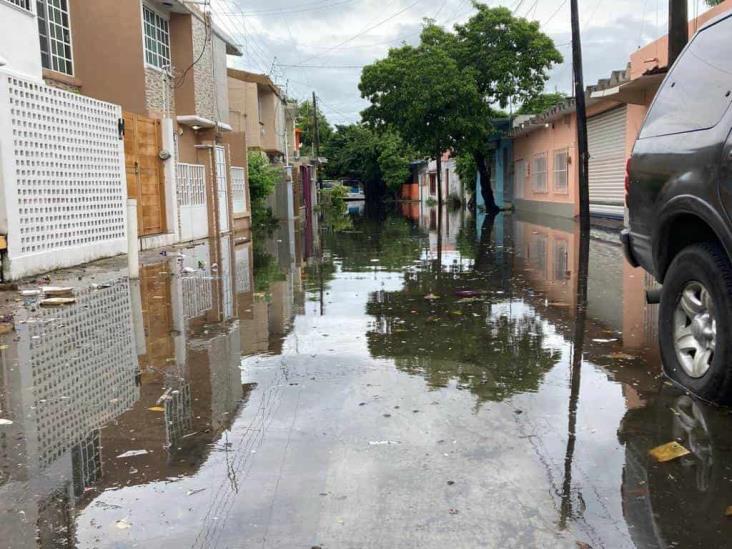 Drenaje colapsado en Vista Alegre provoca inundaciones: vecinos