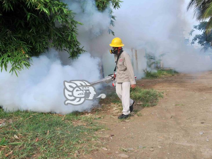 El sur, ‘Zona de Seguridad’ por epidemia de Dengue: SSA