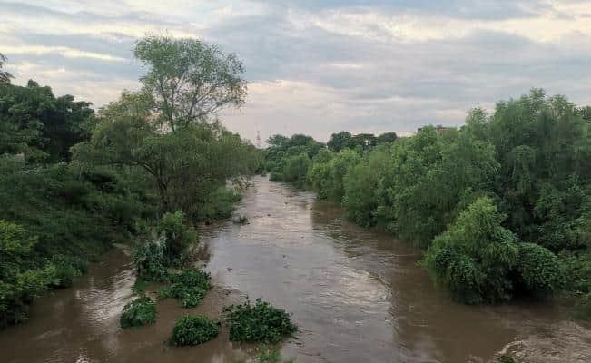 Conagua mantiene monitoreo de ríos para actuar ante posibles desbordamientos (+Video)