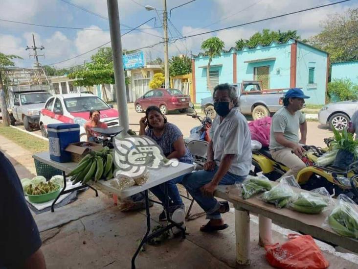 Ejidatarios llevan sus cosechas al Tianguis “Sembrando vida” de Jáltipan