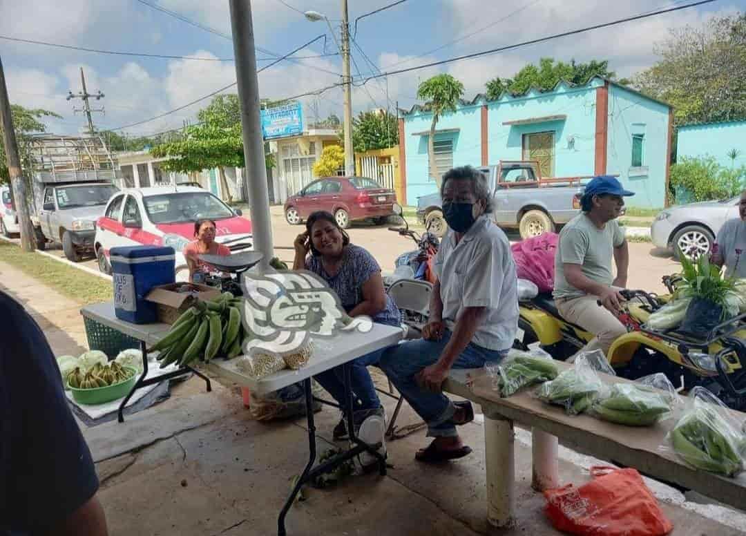 Ejidatarios llevan sus cosechas al Tianguis “Sembrando vida” de Jáltipan