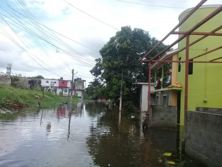 Alertan por crecimiento del río Papaloapan; está a punto del desborde