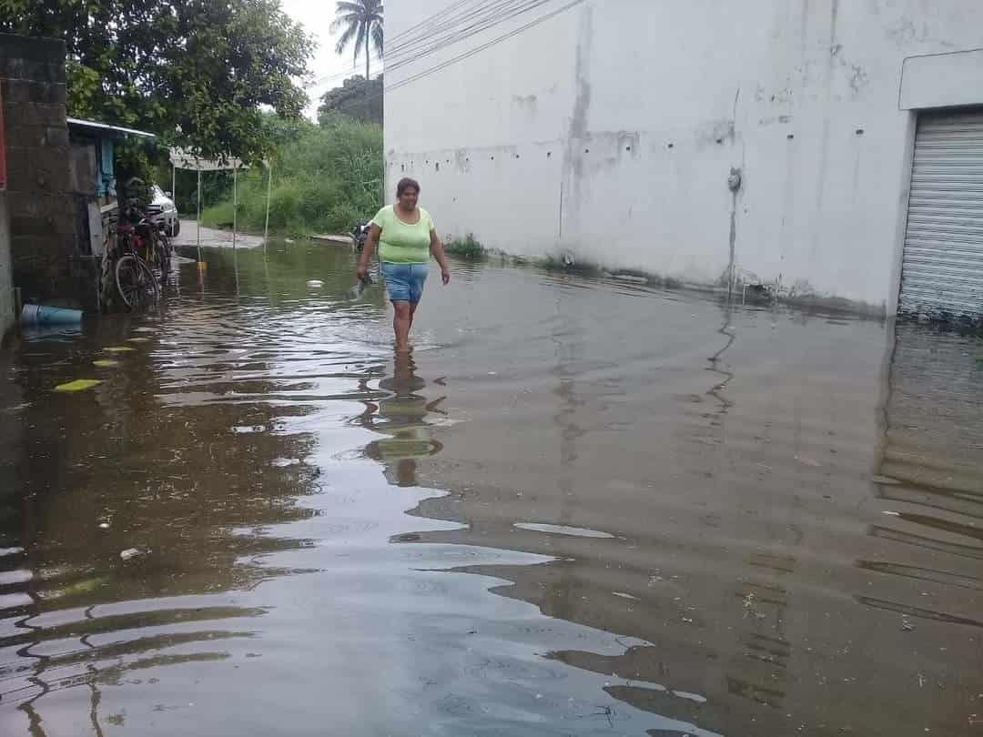 Alertan por crecimiento del río Papaloapan; está a punto del desborde