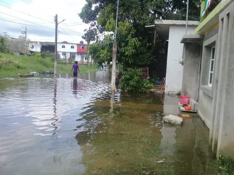 Alertan por crecimiento del río Papaloapan; está a punto del desborde