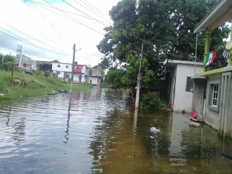 Alertan por crecimiento del río Papaloapan; está a punto del desborde