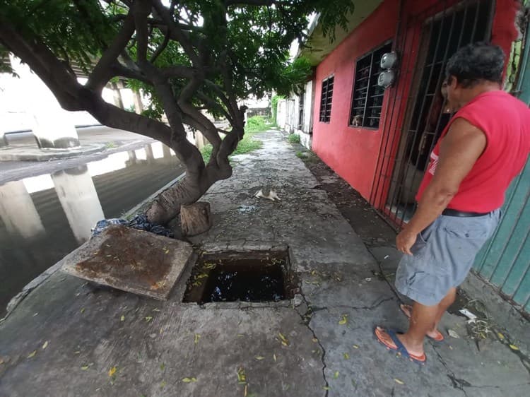 Se manifiestan en la colonia Virgilio Uribe de Veracruz; piden desazolve del drenaje