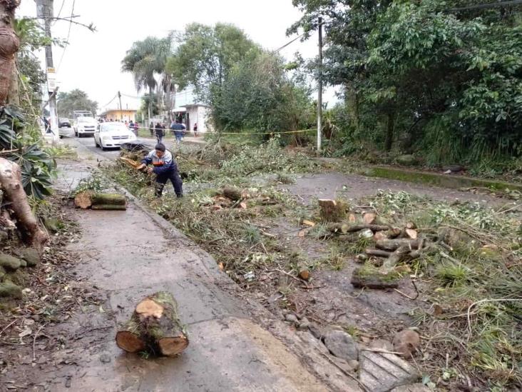 Reparación de socavón en Atzacan depende de dictamen de SPC