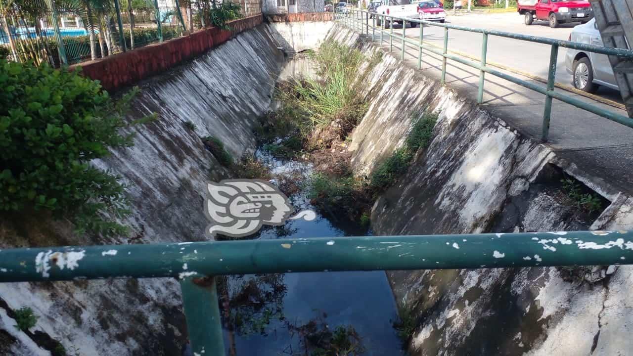 Regidor pide no tirar basura en canales(+Video)