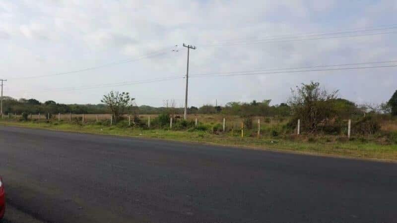 Cerrada carretera Chocotan-Buenavista en Alvarado, anuncia alcaldesa