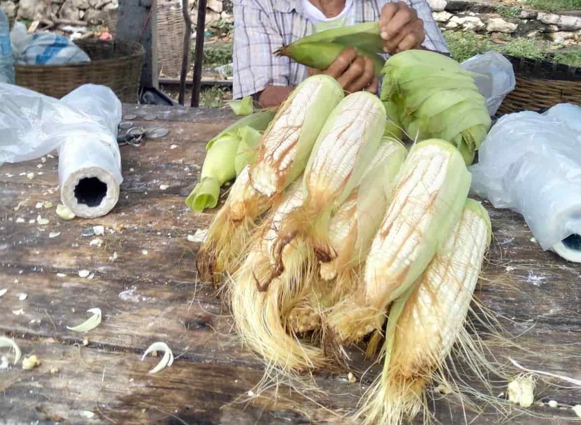 Bajan ventas de elotes en Ciudad Cardel