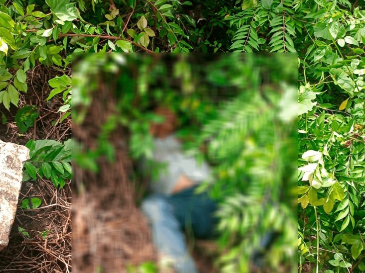 Hallan cuerpo en predio de Poza Rica; permanece en calidad de desconocido