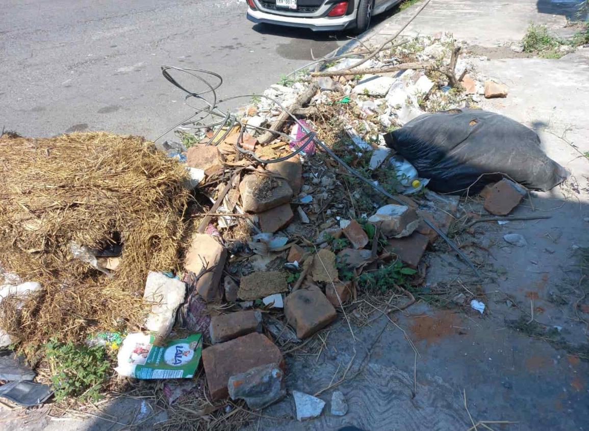 Baches, escombro y basura afecta la movilidad de personas en calles de Veracruz