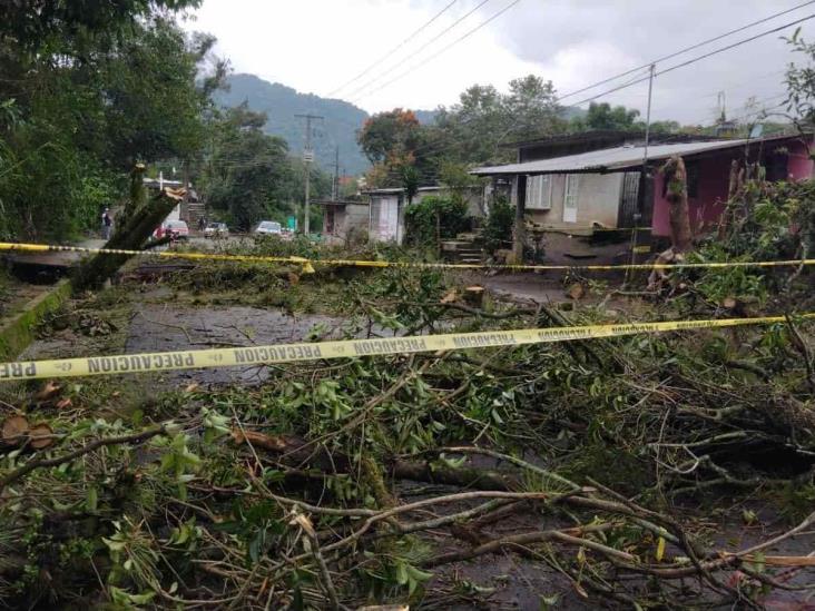 Representa socavón de Atzacan riesgo inminente para camino y población: PC