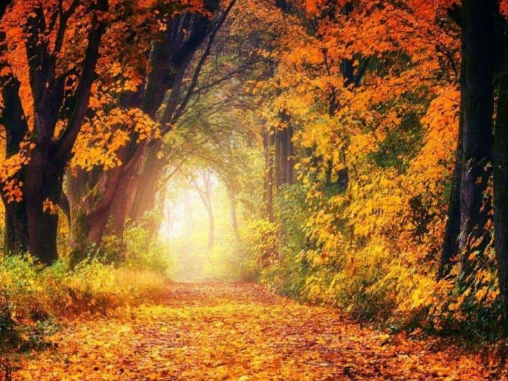 ¡Adiós, verano! Hoy inicia el otoño