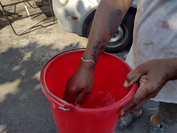 Video: Vecinos de colonia Chapultepec en Veracruz tienen más de un mes sin agua