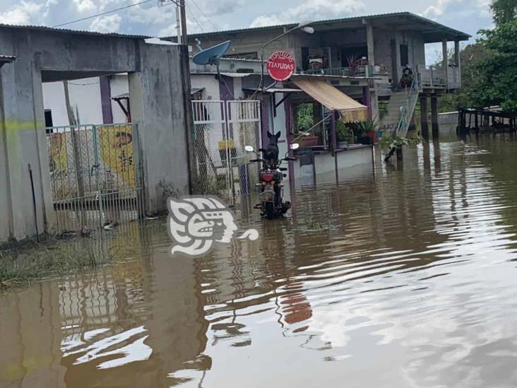 Desamparados e inundados por el Jaltepec, 40 familias de Carranza (+Video)