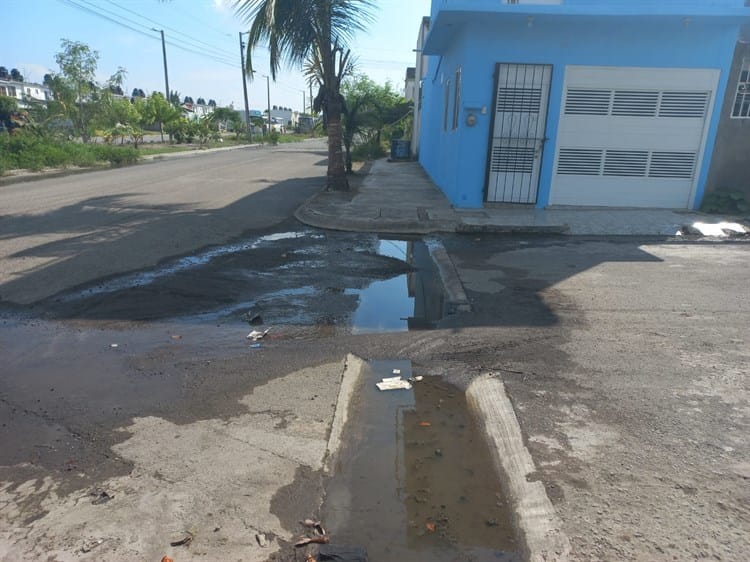 Registros en mal estado y calles intransitables, así viven en Lomas 4 en Veracruz