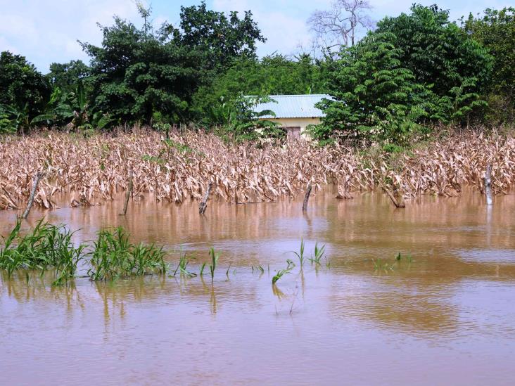 Alerta PC por crecida de ríos en el sur tras temporal lluvioso