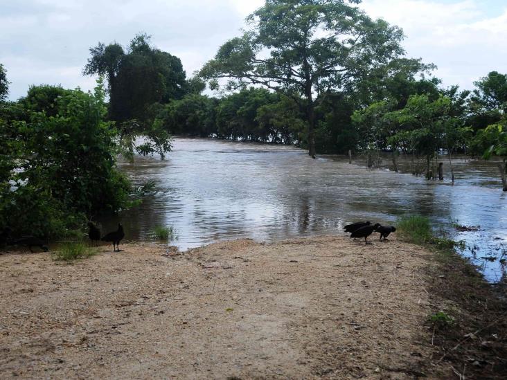 Alerta PC por crecida de ríos en el sur tras temporal lluvioso