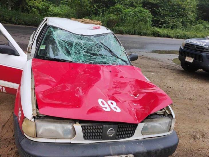 Taxi de Juanita choca contra vaca en Sayula