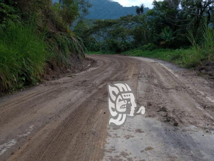 Tras deslave, liberan tramo carretero de Misantla