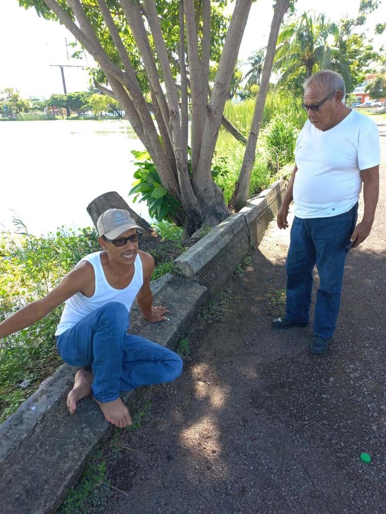 Llaman a proteger cocodrilos de la laguna Malibrán