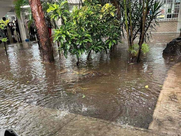 Atenderán problemas de inundaciones en facultad de la UV en Boca del Río