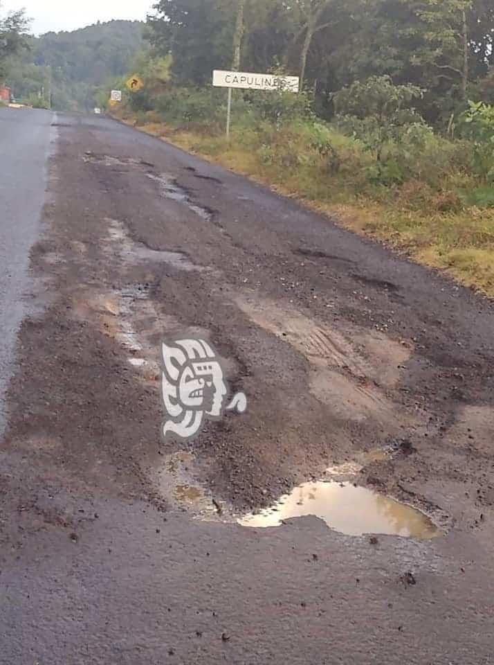 Urgen rehabilitación a la carreta estatal Misantla-Xalapa