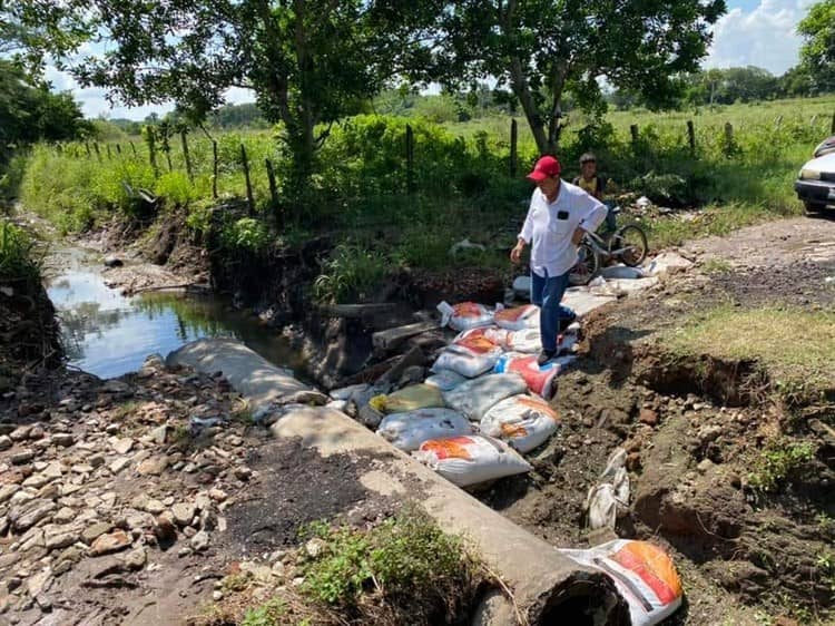 Alcaldes de Alvarado y Medellín realizan recorridos en zonas vulnerables tras lluvias