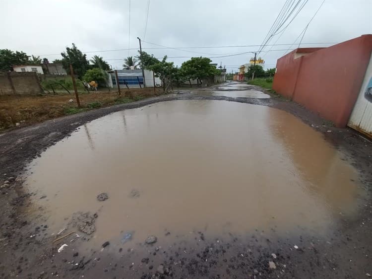 Vecinos exigen pavimentación en Ampliación Las Bajadas, en Veracruz