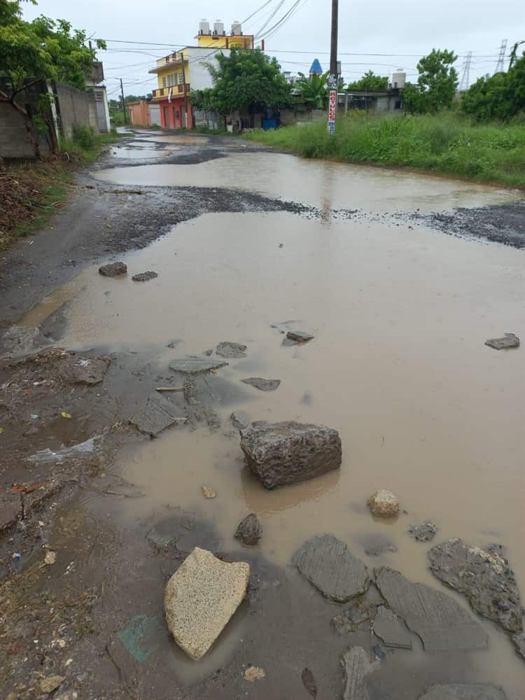 Vecinos exigen pavimentación en Ampliación Las Bajadas, en Veracruz