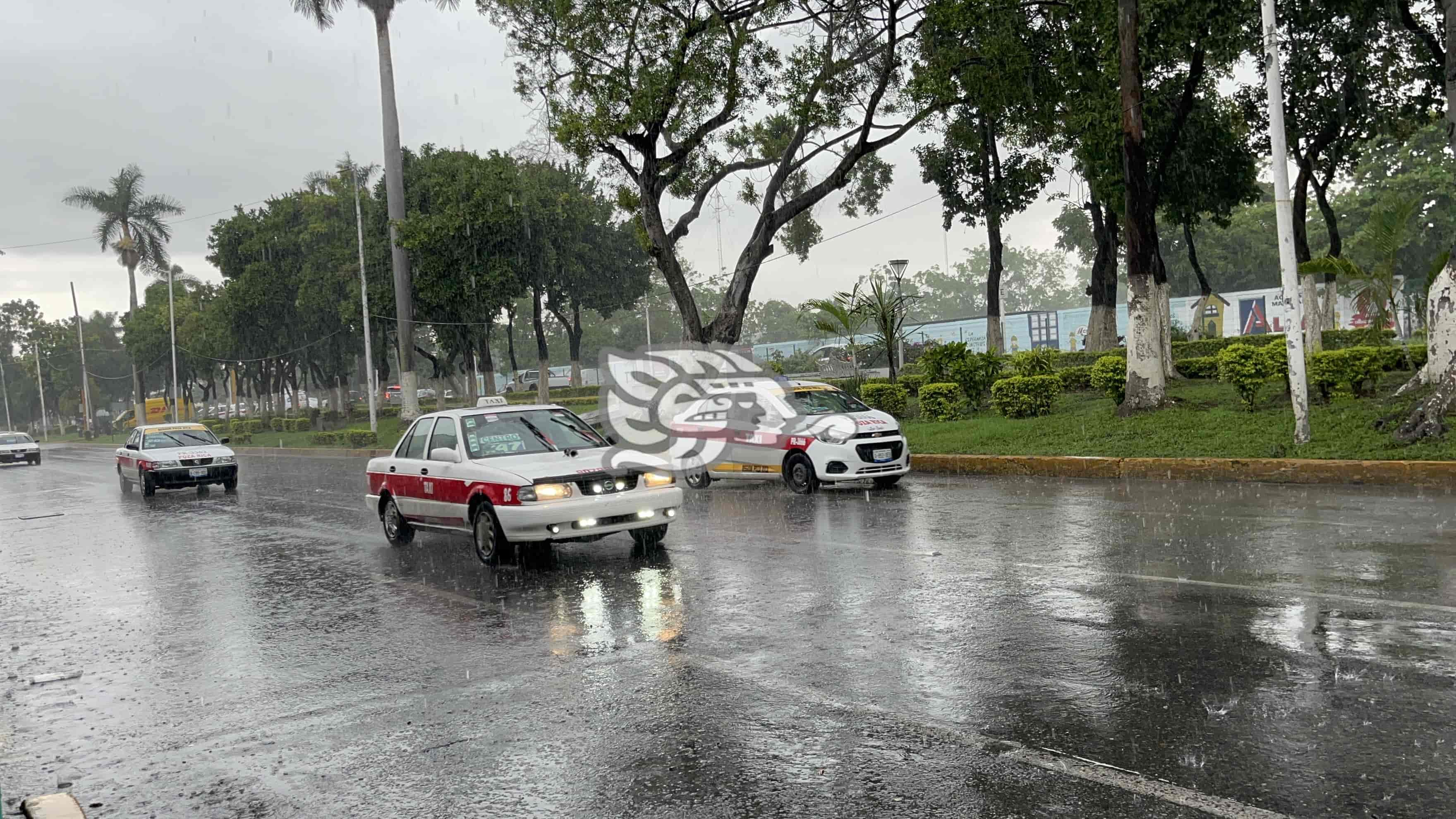 Poza Rica, en alerta gris por lluvias (+Video)