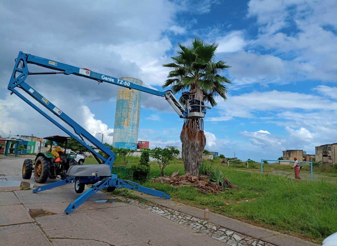 Otorga Gobierno de Amado Cruz brigada integral de chapeo y alumbrado en Punta Caracol