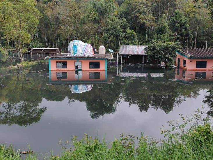 Lluvias provocan afectaciones en Los Arenales, Xalapa