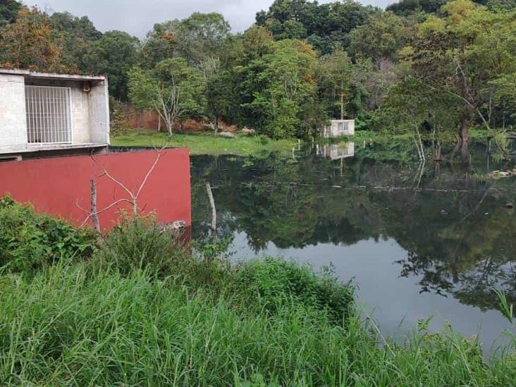 Lluvias provocan afectaciones en Los Arenales, Xalapa